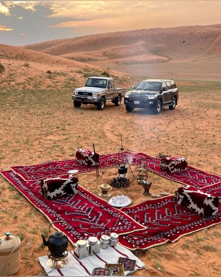 Desert Tours: Silence, Stars & Sands