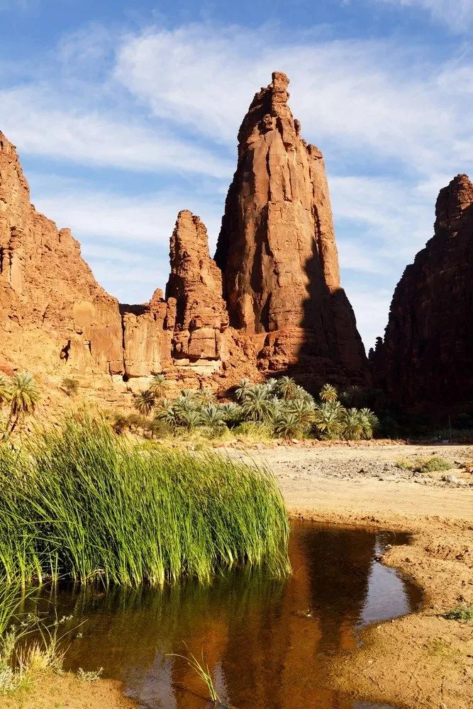 Wadi Disah (Valley of Palms)