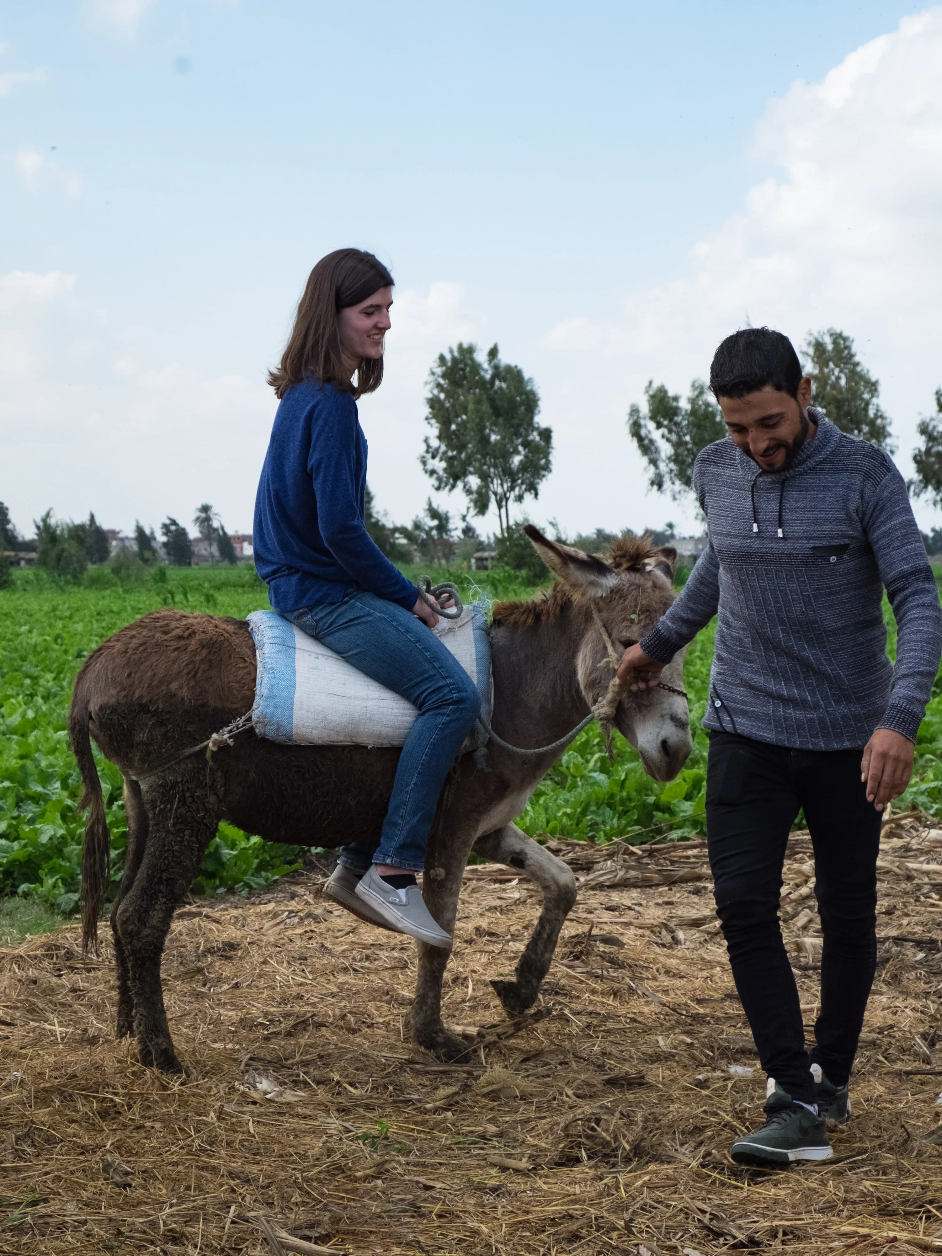 Rural Tourism & Farm to Table